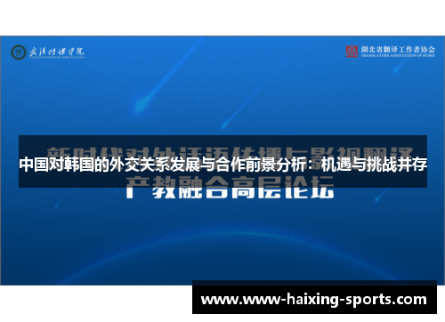 中国对韩国的外交关系发展与合作前景分析：机遇与挑战并存