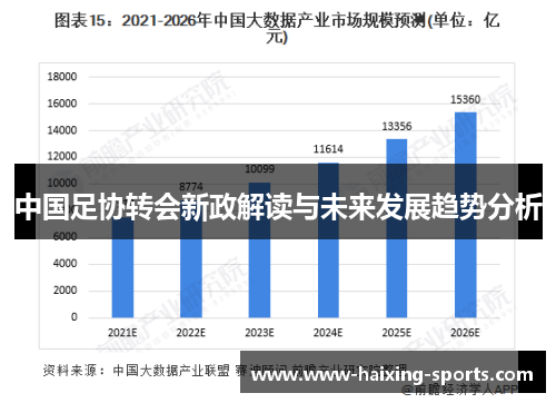 中国足协转会新政解读与未来发展趋势分析