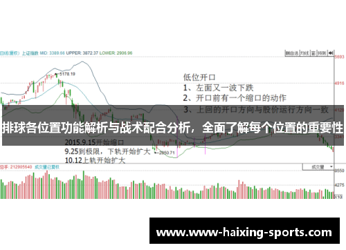 排球各位置功能解析与战术配合分析，全面了解每个位置的重要性