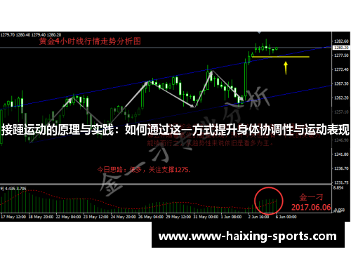 接踵运动的原理与实践：如何通过这一方式提升身体协调性与运动表现